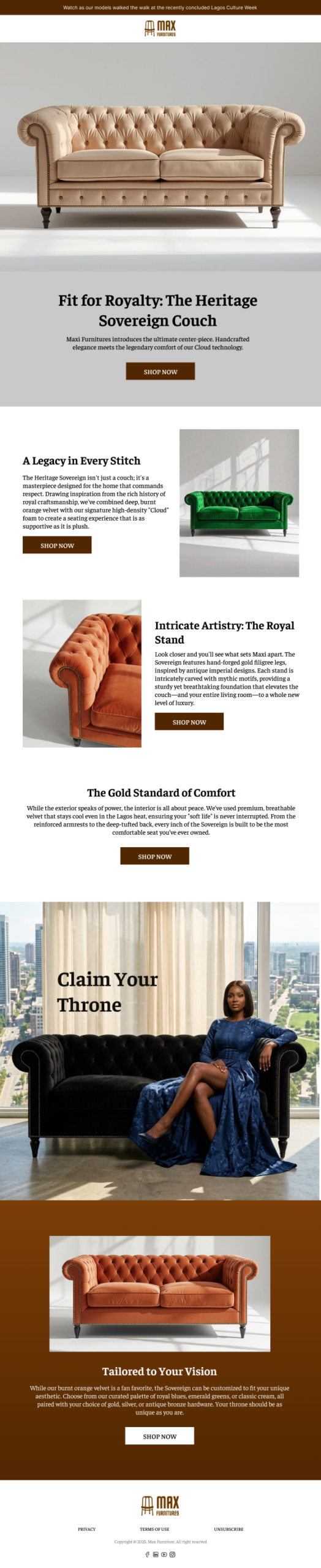 Newsletter Email Template thumbnail